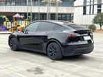 2023 Tesla Model Y RWD Used Car